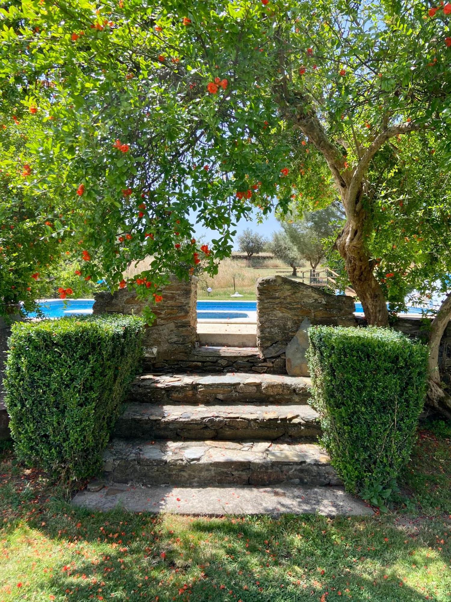 Gasthaus Quinta Alfaval Redondo Exterior foto
